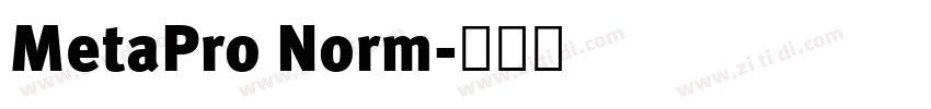 MetaPro Norm字体转换